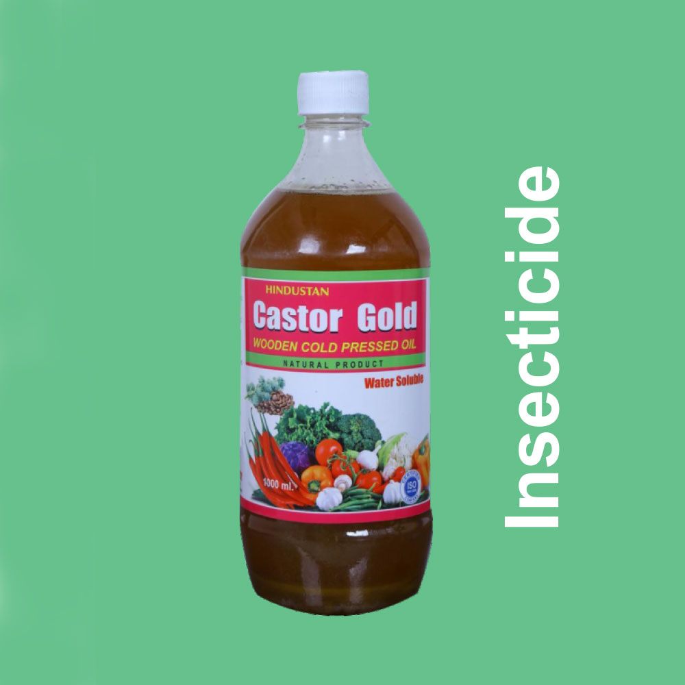 Castor Gold