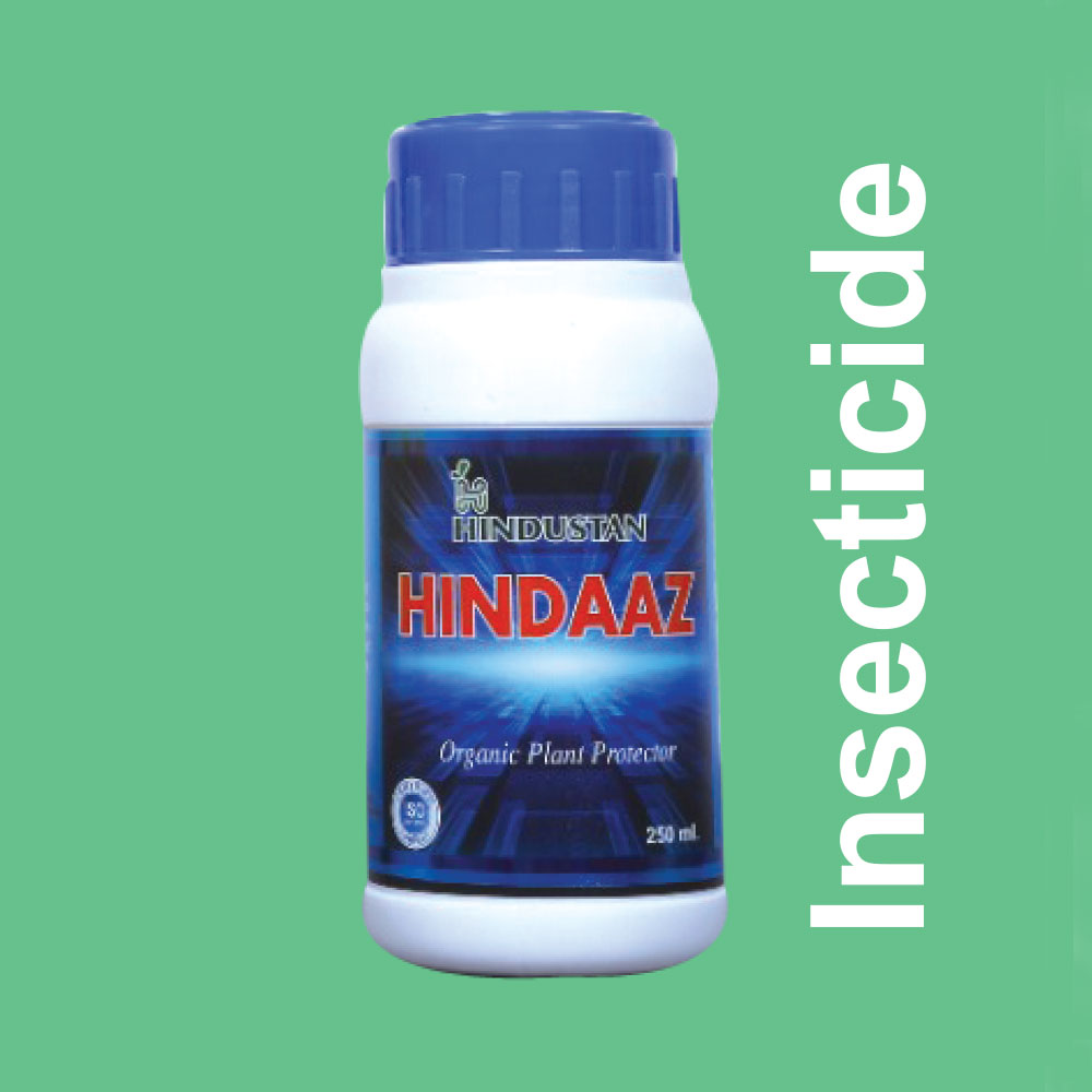 Hindaaz