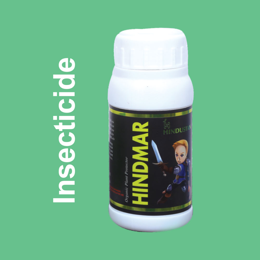 Hindmaar