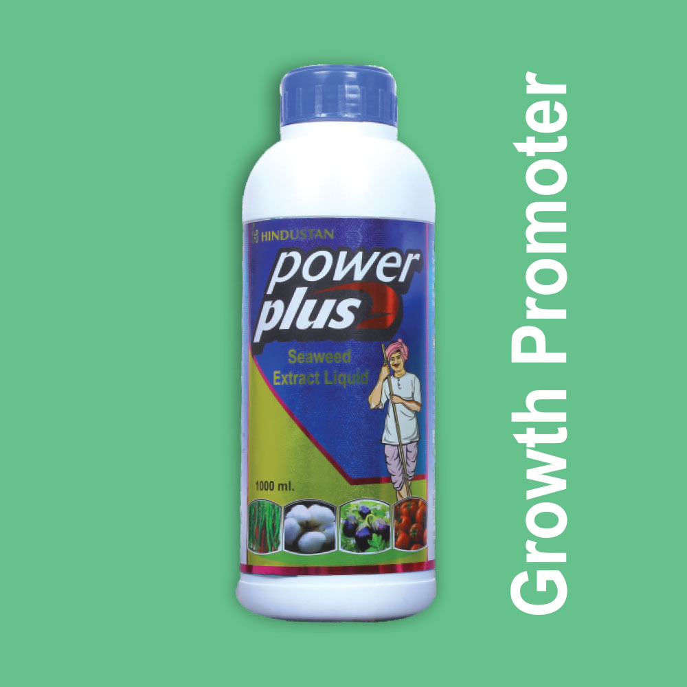 Power Plus