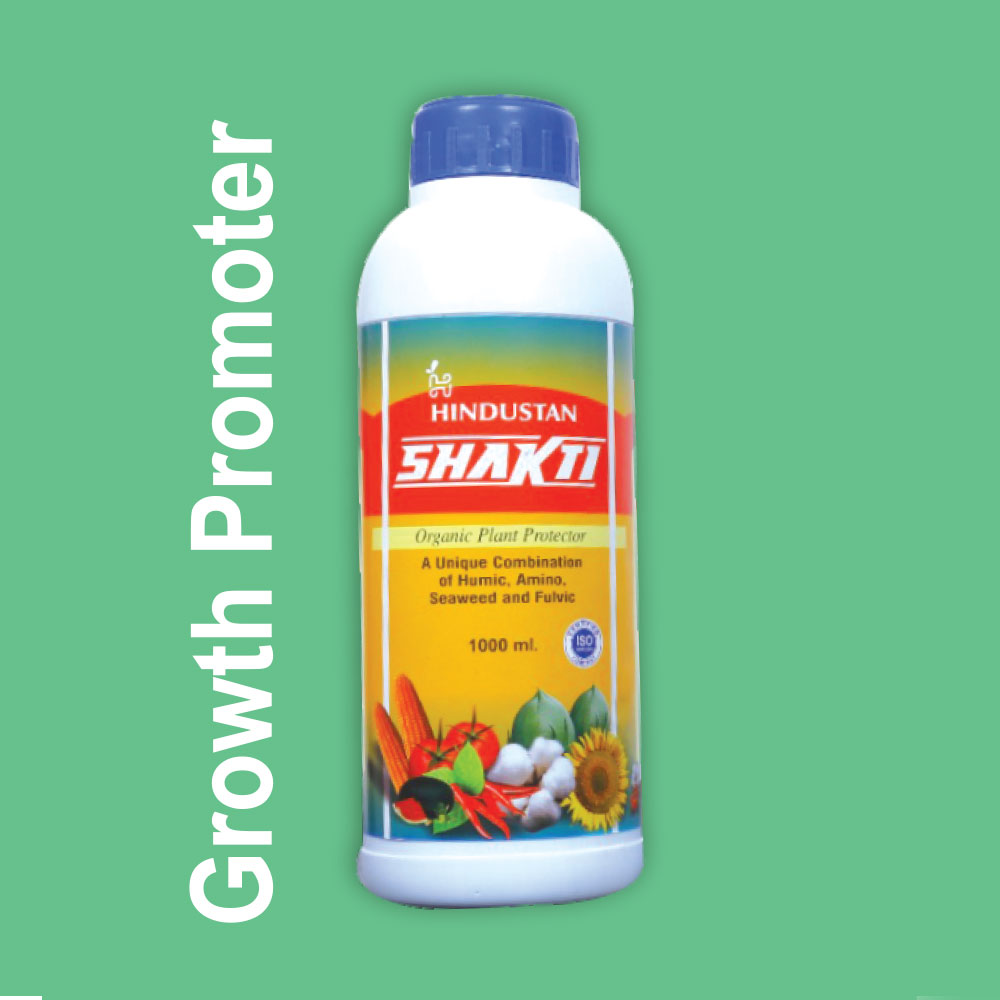Shakti